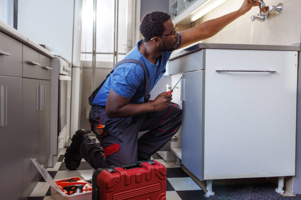 Best Local Plumber Services  in Raceland, KY