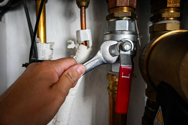 Best Clogged Drain Plumber  in Raceland, KY